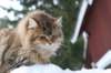 img_0428_small.jpg