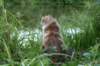 img_7467_small.jpg