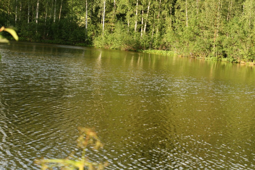 img_7642.jpg