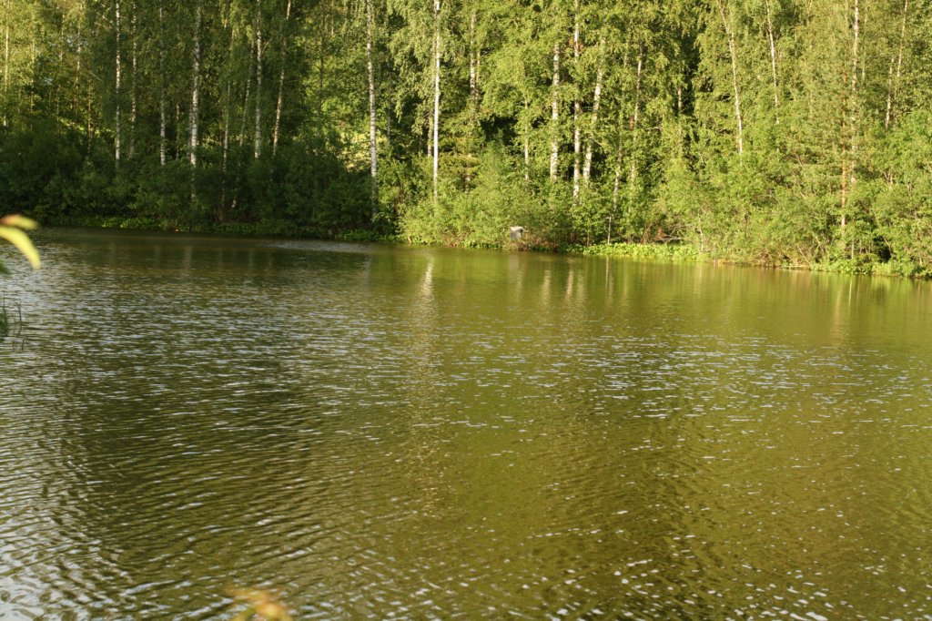 img_7644.jpg