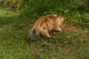 img_7282_small.jpg