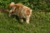 img_7288_small.jpg