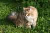 img_7347_small.jpg
