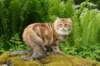 img_7386_small.jpg