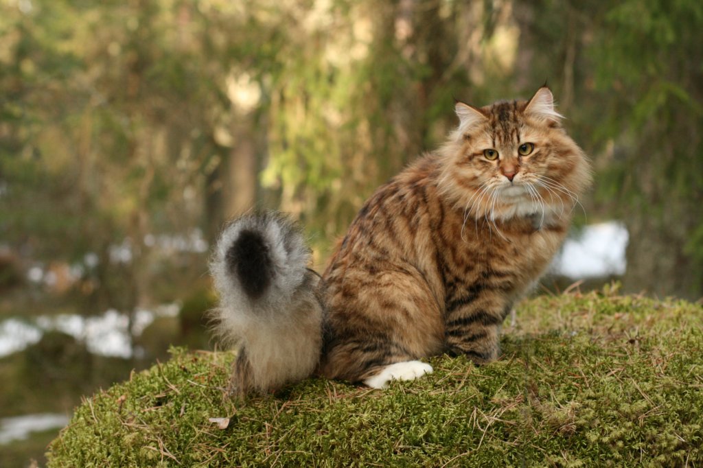 amurinrafaeliijwsibny0924d.jpg