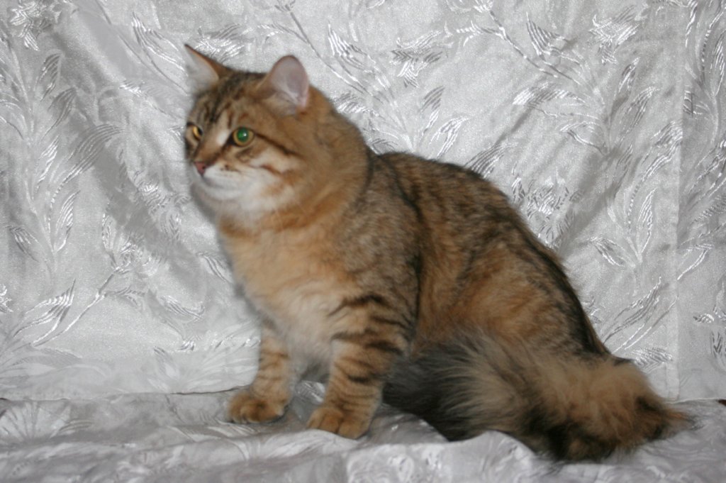 ruufus7kuukautta1262011showb.jpg