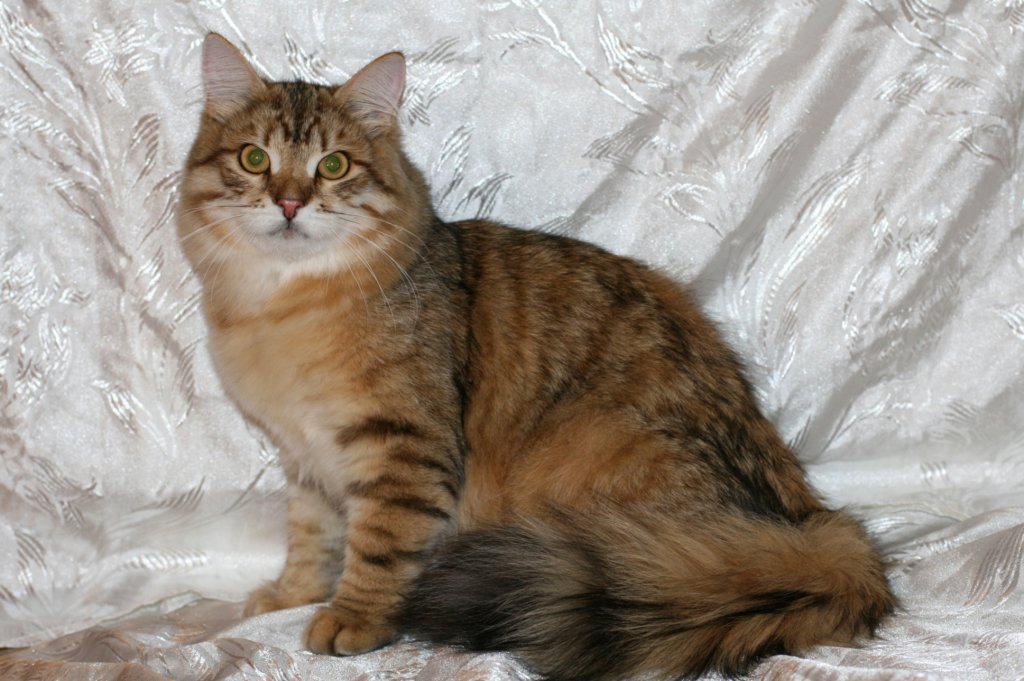 ruufus7kuukautta1262011showi.jpg