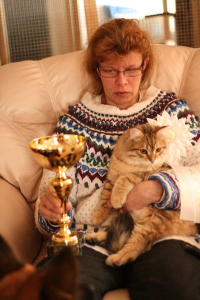 amurinruufusbiskitten36monthsinturkucatshow1642011andmeretevuortenmaamereteintroducedthekitteninturkufinland.jpg