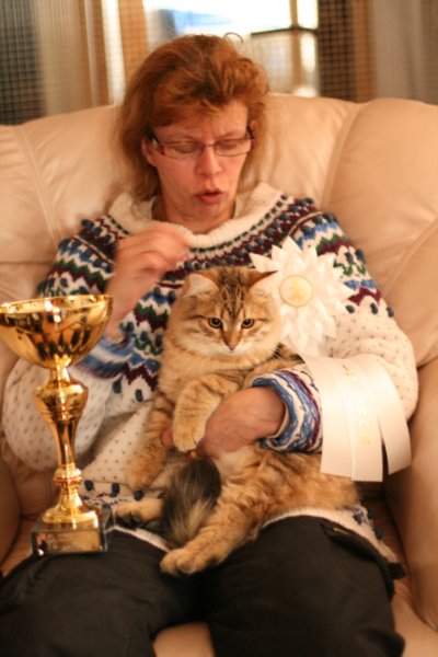 amurinruufusbiskitten36monthsinturkucatshowandmeretevuortenmaamereteintroducedthekitteninturkufinland.jpg