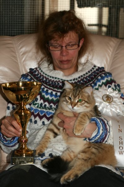 amurinruufusbiskitten36monthsinturkucatshowandmeretevuortenmaamereteintroducedthekitteninturkufinland11.jpg
