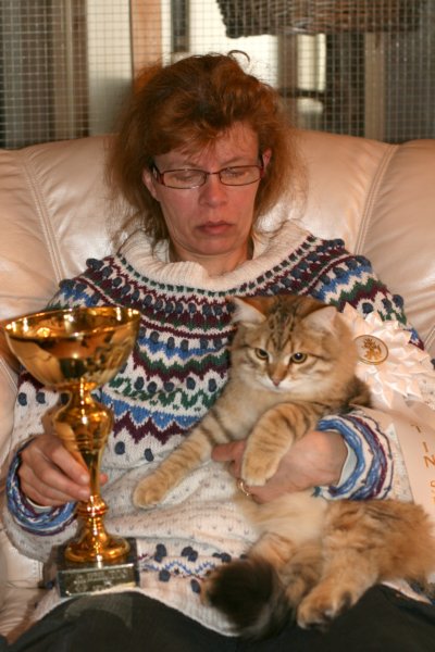 amurinruufusbiskitten36monthsinturkucatshowandmeretevuortenmaamereteintroducedthekitteninturkufinland13.jpg