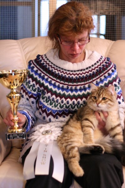amurinruufusbiskitten36monthsinturkucatshowandmeretevuortenmaamereteintroducedthekitteninturkufinland16.jpg