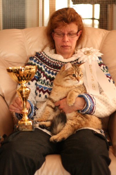 amurinruufusbiskitten36monthsinturkucatshowandmeretevuortenmaamereteintroducedthekitteninturkufinland2.jpg