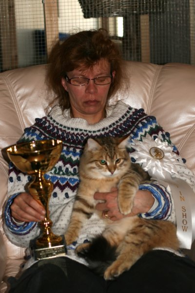 amurinruufusbiskitten36monthsinturkucatshowandmeretevuortenmaamereteintroducedthekitteninturkufinland3.jpg