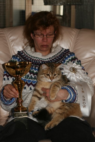 amurinruufusbiskitten36monthsinturkucatshowandmeretevuortenmaamereteintroducedthekitteninturkufinland6.jpg