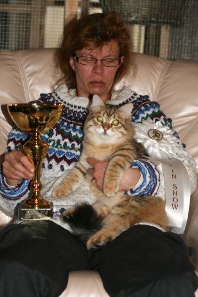 amurinruufusbiskitten36monthsinturkucatshowandmeretevuortenmaamereteintroducedthekitteninturkufinland7.jpg