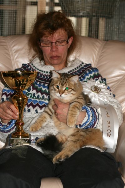 amurinruufusbiskitten36monthsinturkucatshowandmeretevuortenmaamereteintroducedthekitteninturkufinland8.jpg