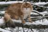 img_8184_small.jpg