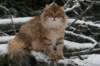 img_8191_small.jpg