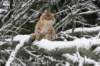 img_8261_small.jpg