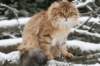img_8263_small.jpg