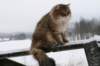 img_8267_small.jpg