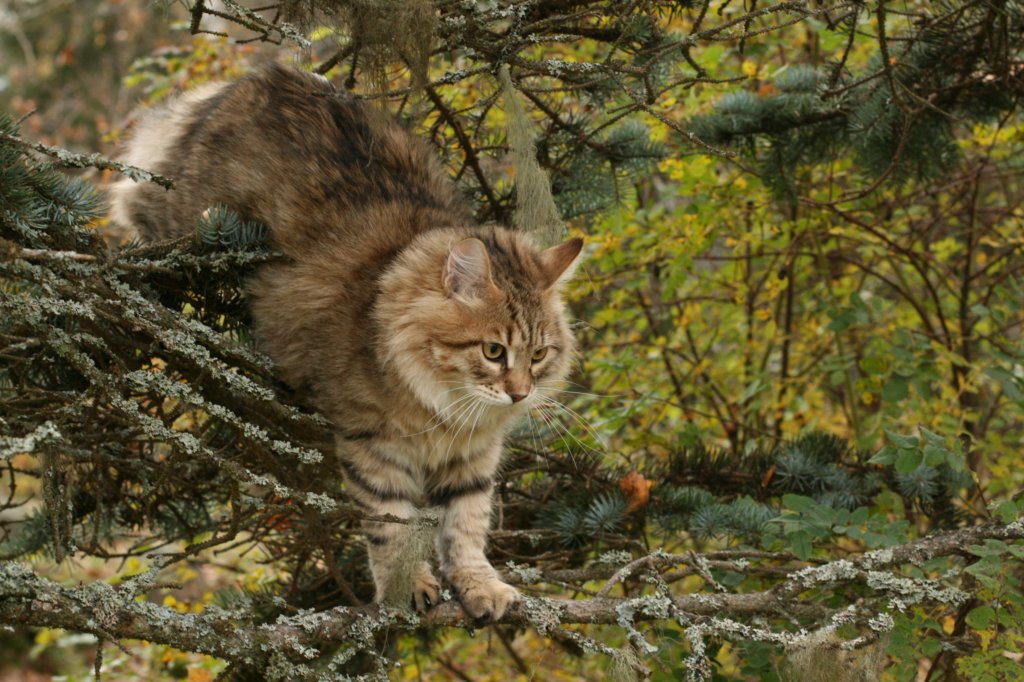 ussiapoikasynt1842011superihanaluonne47.jpg