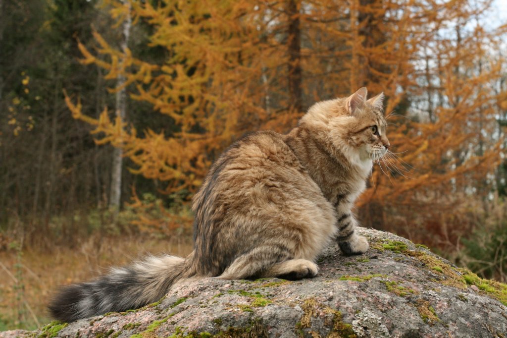 ussiapoikasynt1842011superihanaluonne67.jpg