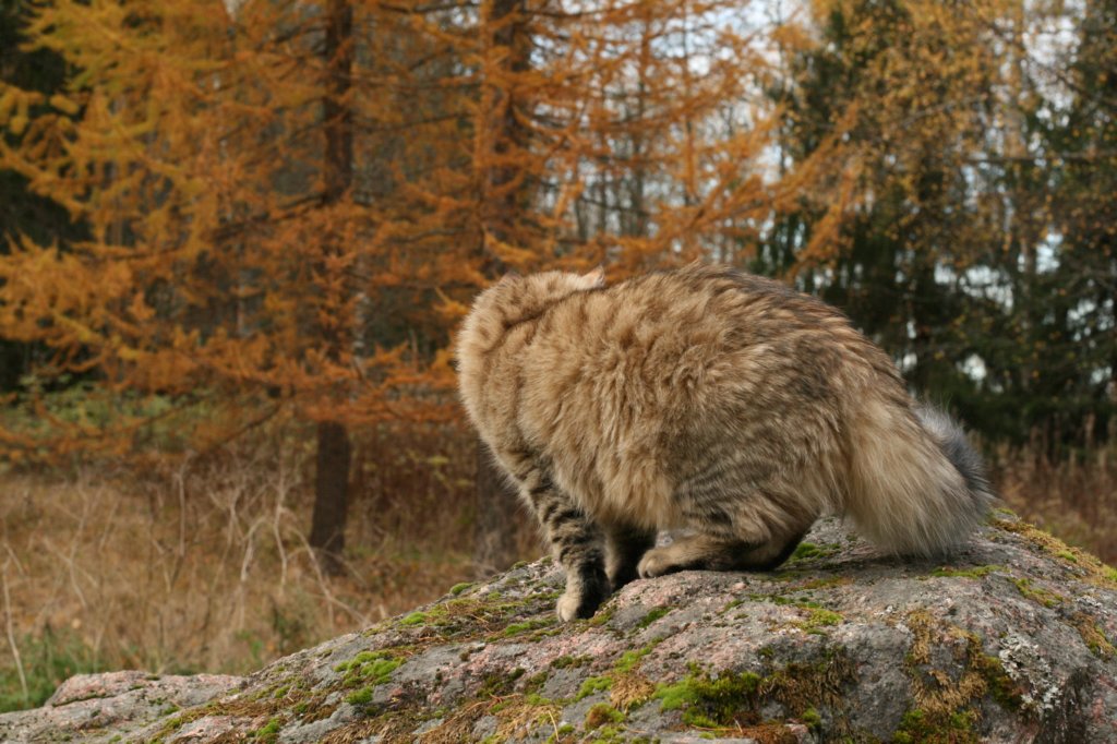 ussiapoikasynt1842011superihanaluonne69.jpg