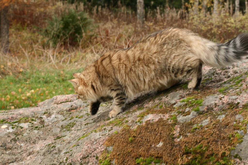 ussiapoikasynt1842011superihanaluonne71.jpg