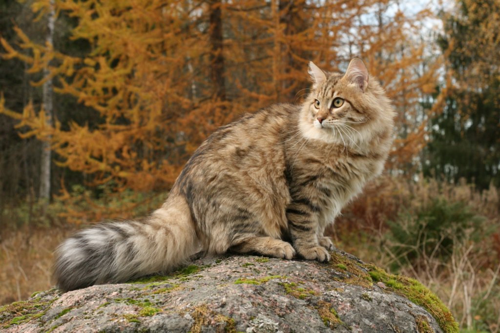 ussiapoikasynt1842011superihanaluonne79.jpg