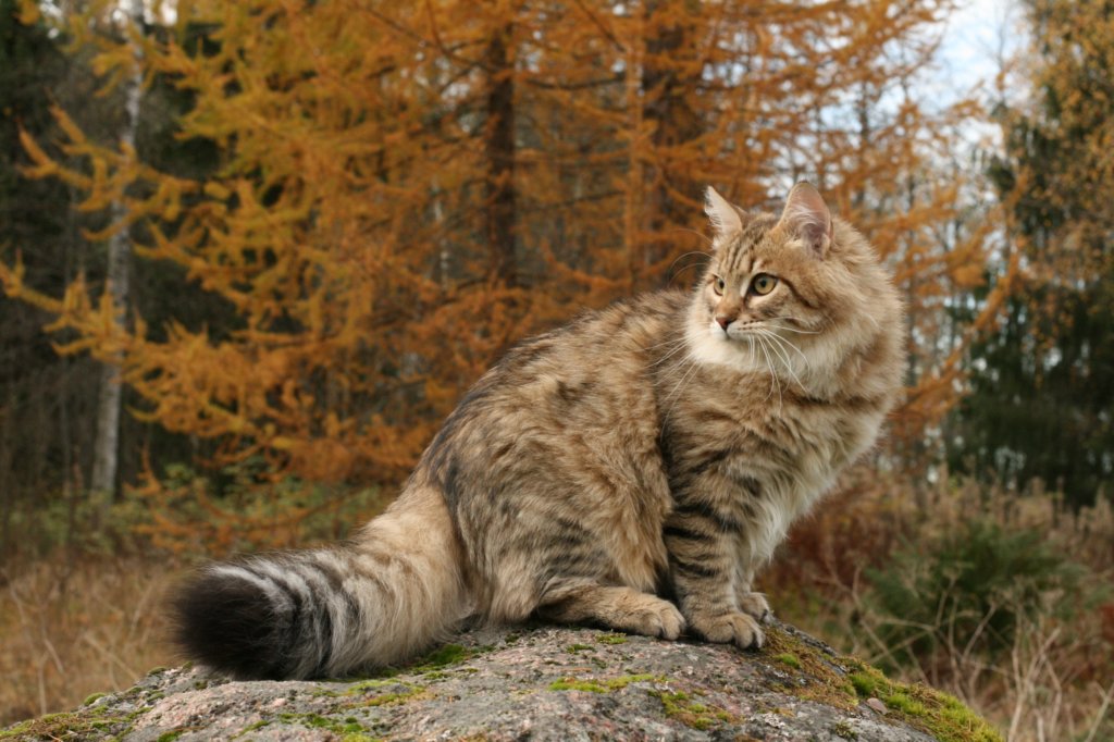 ussiapoikasynt1842011superihanaluonne82.jpg