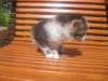 Photo Number 14