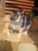 Photo Number 6