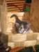Photo Number 7