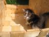 Photo Number 9