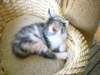 Photo Number 13