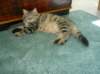 Photo Number 13