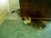 Photo Number 7