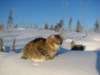 Photo Number 9