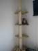 Photo Number 8