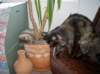 Photo Number 13