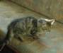 Photo Number 7