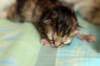img_1459_small.jpg
