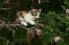 img_6254_small.jpg