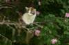 img_6269_small.jpg