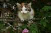 img_6273_small.jpg
