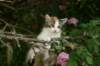 img_6276_small.jpg
