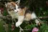 img_6285_small.jpg
