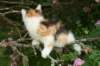 img_6287_small.jpg